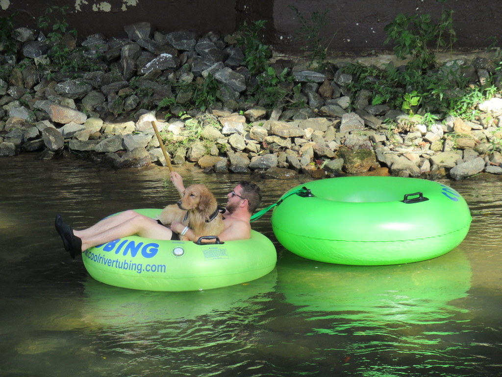 Man and dog tubing on the Chattahoochee River, Helen, Geor… Flickr