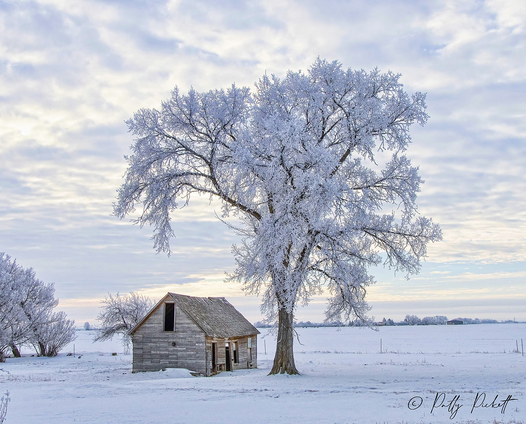 Mud lake area Idaho Pattysphotos Flickr