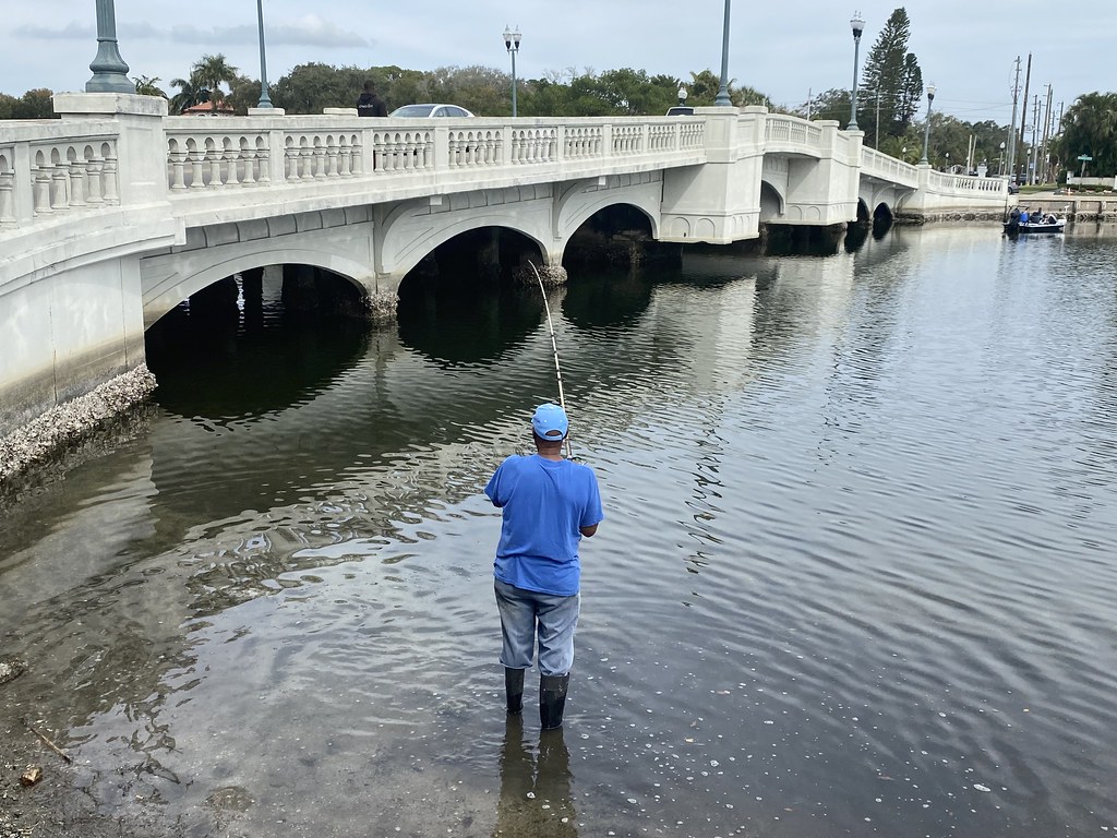Fishing in Coffee Pot Bayou With the Snell Isle Bridge as … Flickr