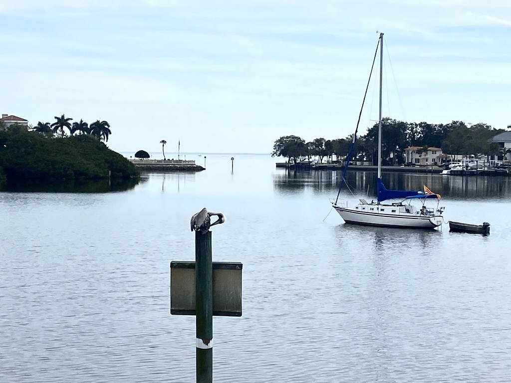 Bayou and Bay A tranquil scene in Coffee Pot Bayou as a pe… Flickr