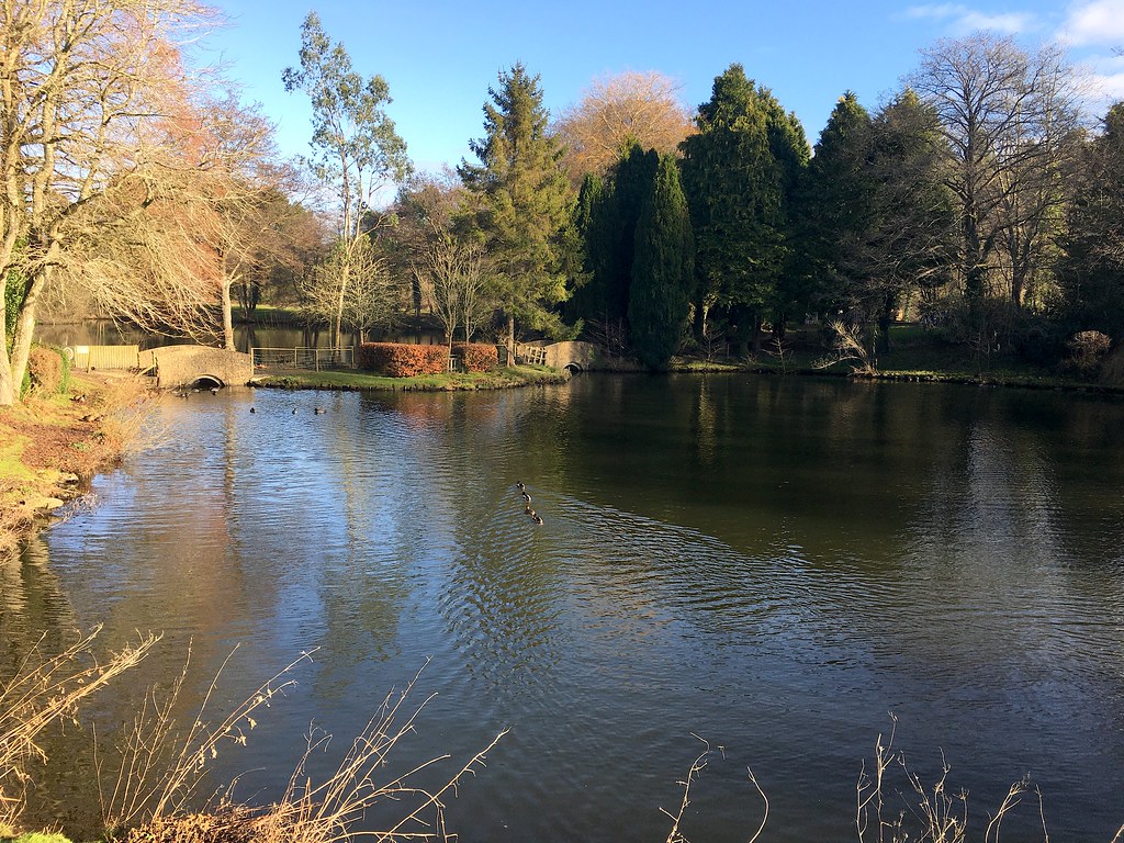 Winter Lake The lake at Crockerton in South West Wiltshire… Richard