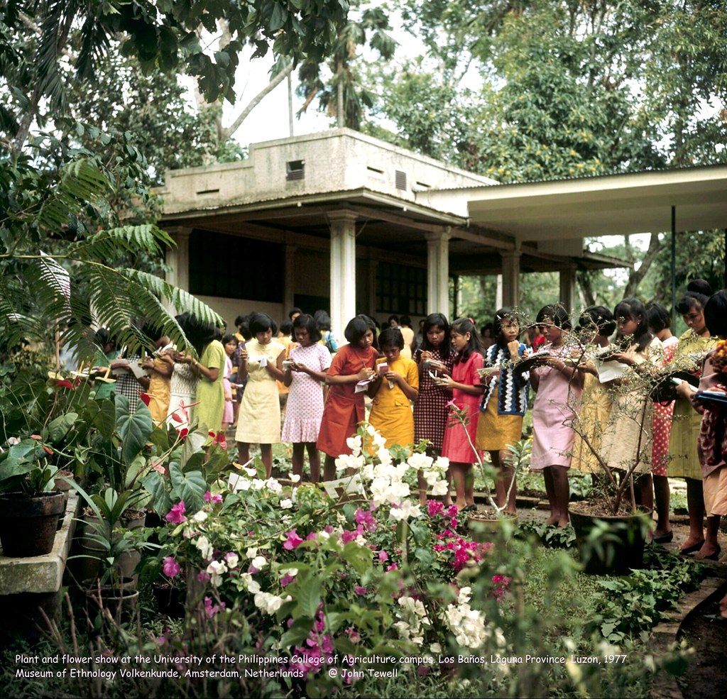 Plant and flower show at the University of the Philippines College of