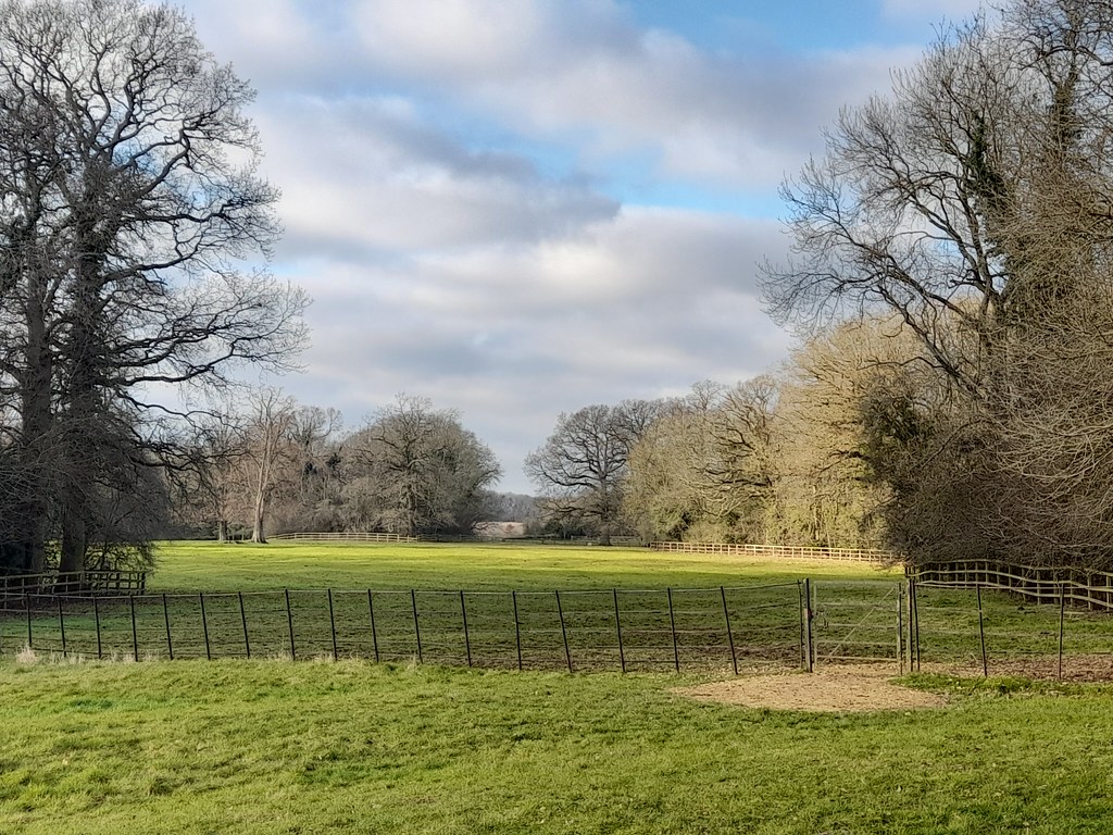 Paddock on Cottesbrooke Estate, Northants a photo on Flickriver