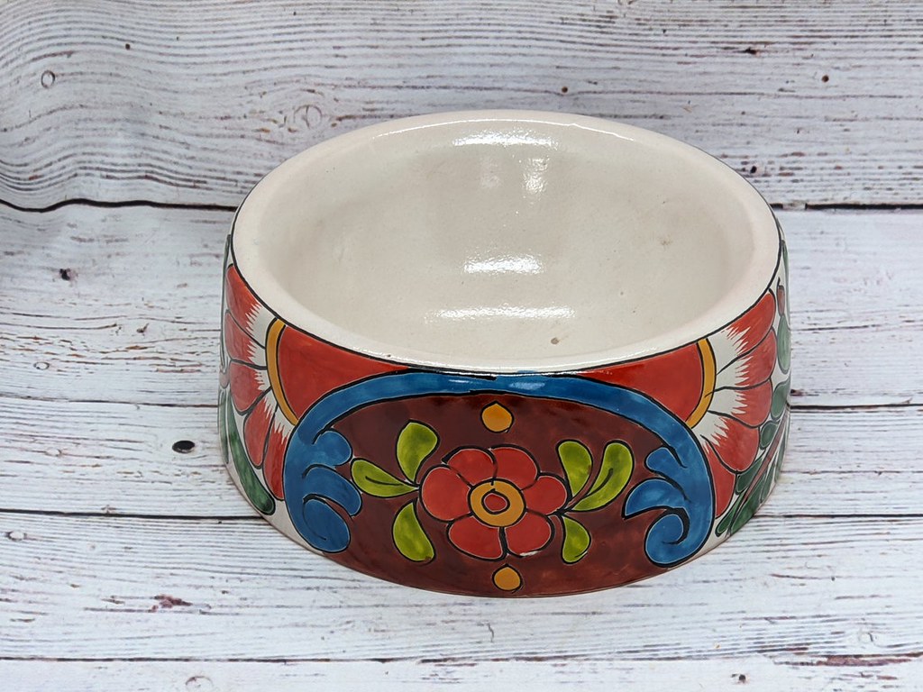 Dog Dish > Super Cute & Colorful Ceramic Dog Food Bowl D… Flickr