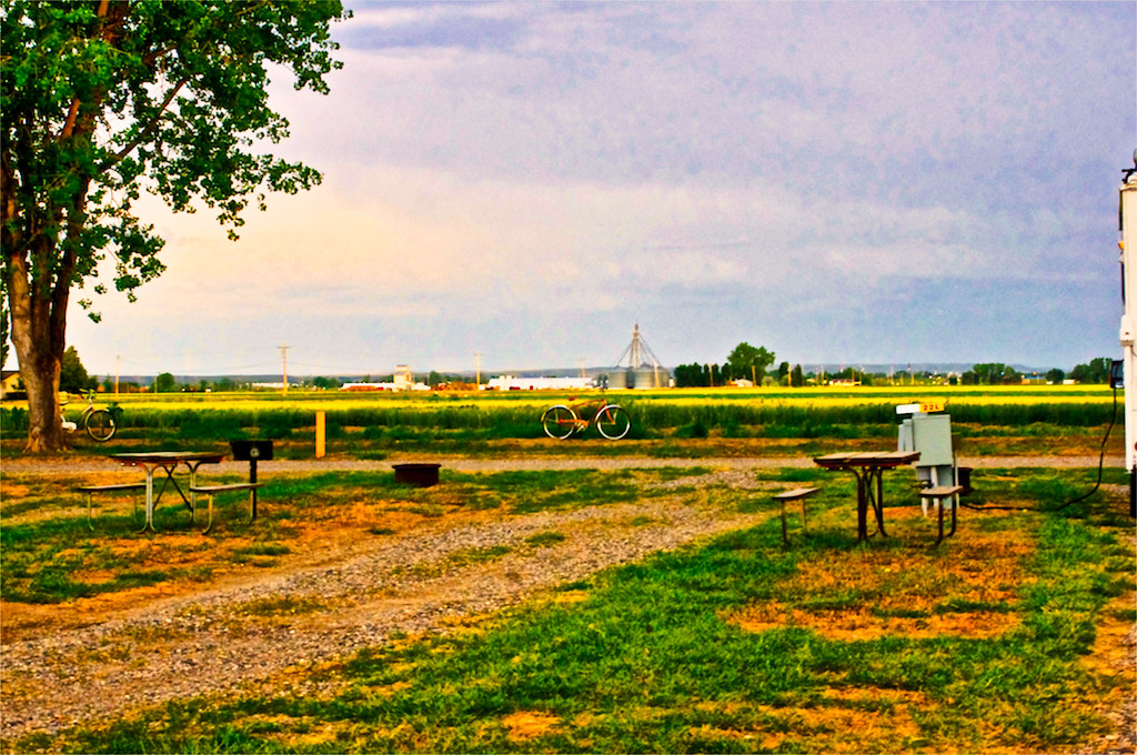Looking out at the barley field, Hardin MT KOA Please see … Flickr