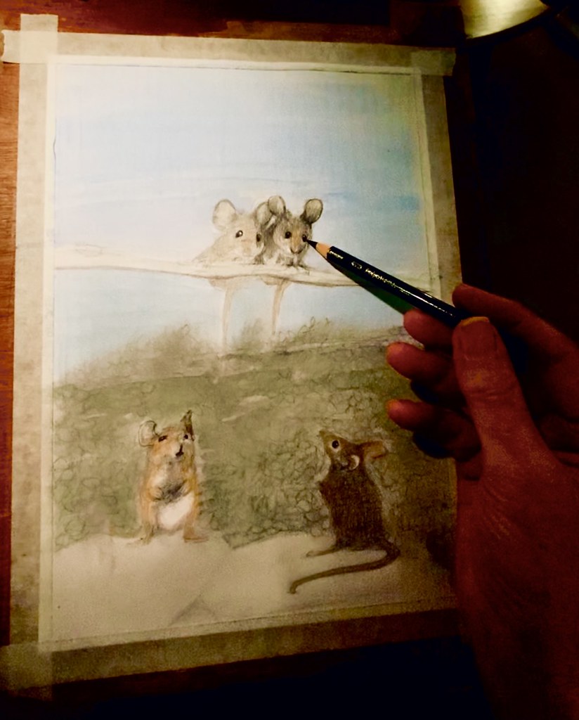 Stage 1. Just started. Zzoneart watercolour pencil, wet&dr… Flickr