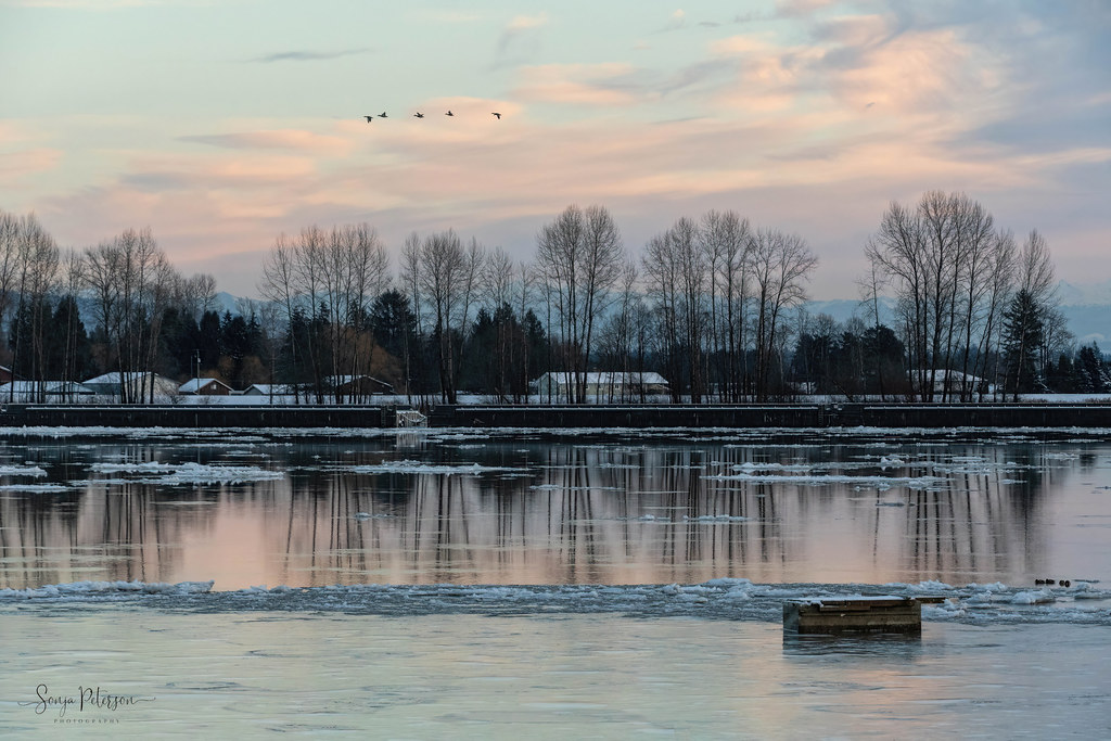 PITT RIVER REFLECTIONS Port Coquitlam/Pitt Meadows, BC Can… Flickr