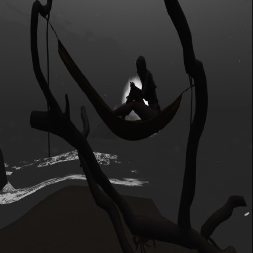 Snapshot _ Black Basalt Beach, Brandy Wine Island (20, 64,… Flickr