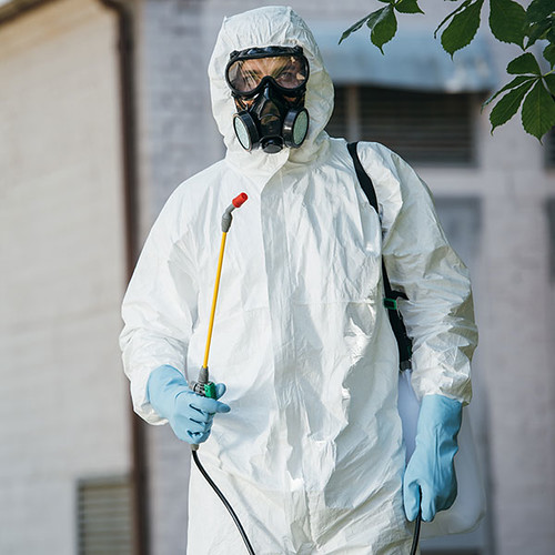 Pest Control in Qatar Looking for… Flickr