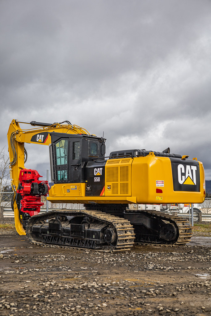 IMG_1059 Peterson Cat Flickr