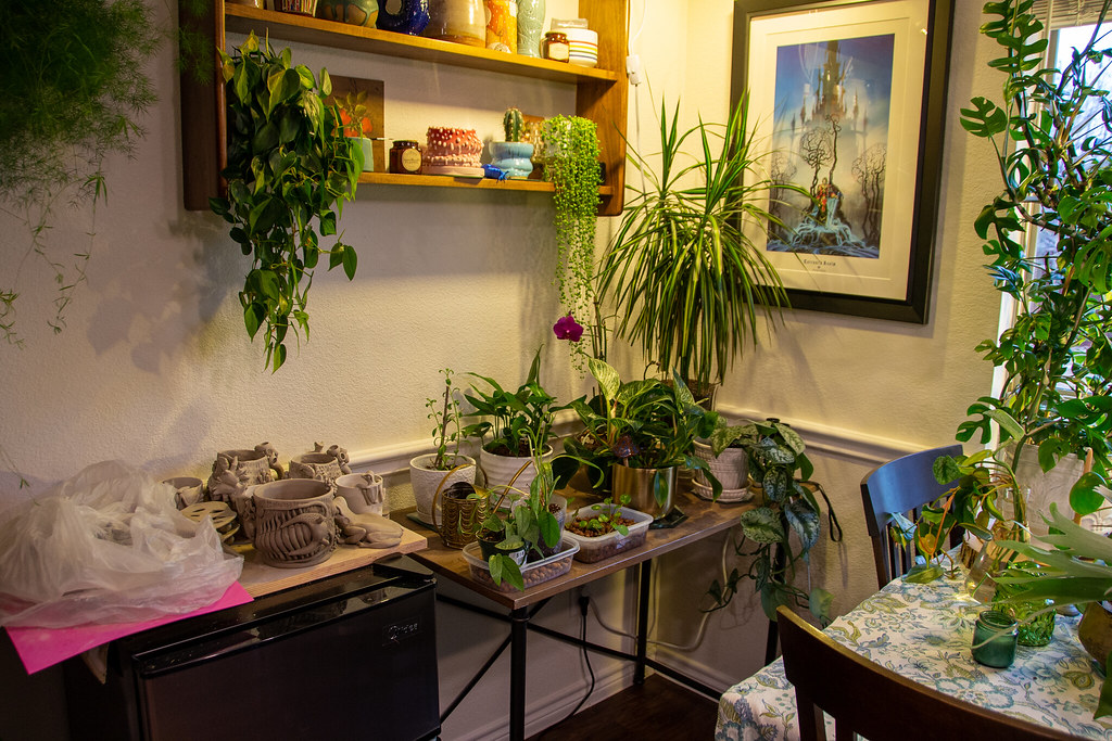 20220202 erin's_home_2 Ceramic artist Erin Allice's home … Flickr