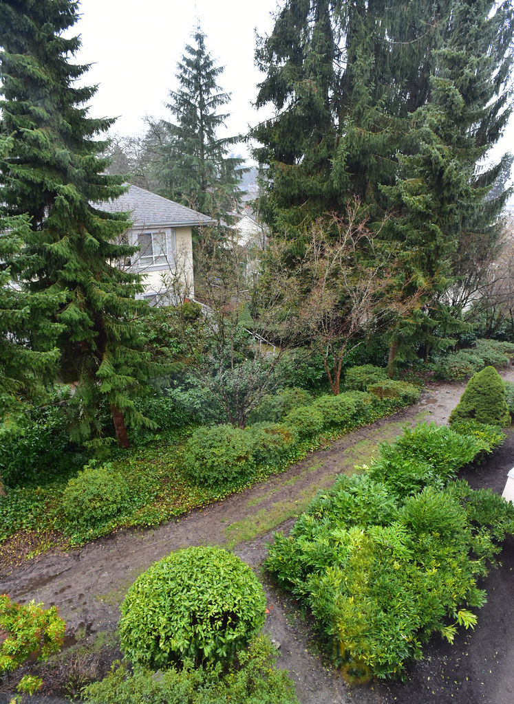 Wet and 3°C 034/365, Garden Village, Burnaby, British Colu… Flickr