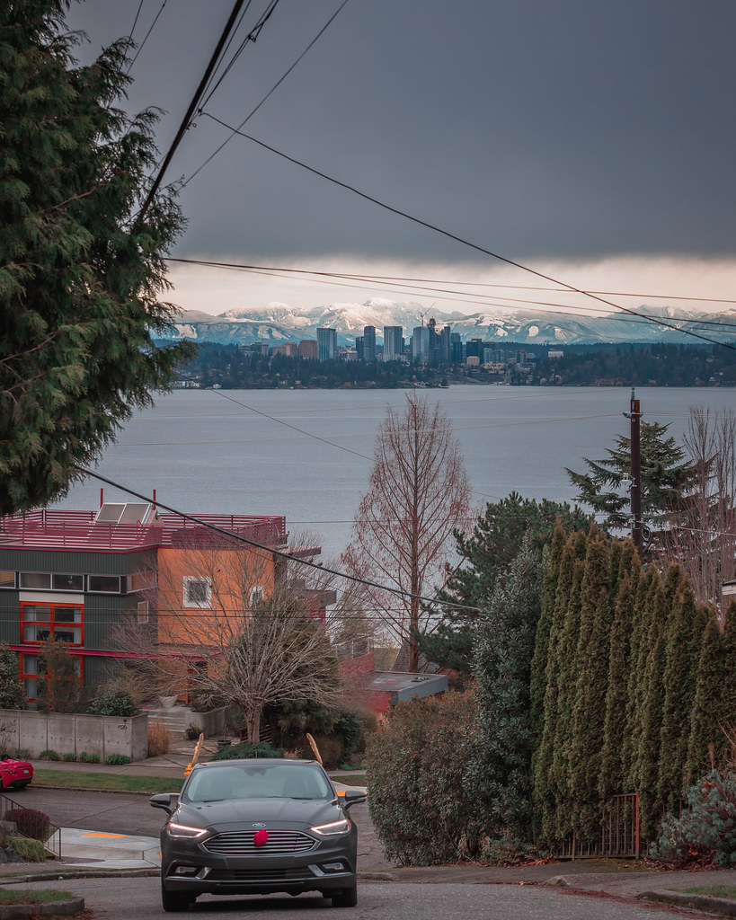 Rain.. Deer.. Taken from the Leschi Neighborhood hill look… Flickr