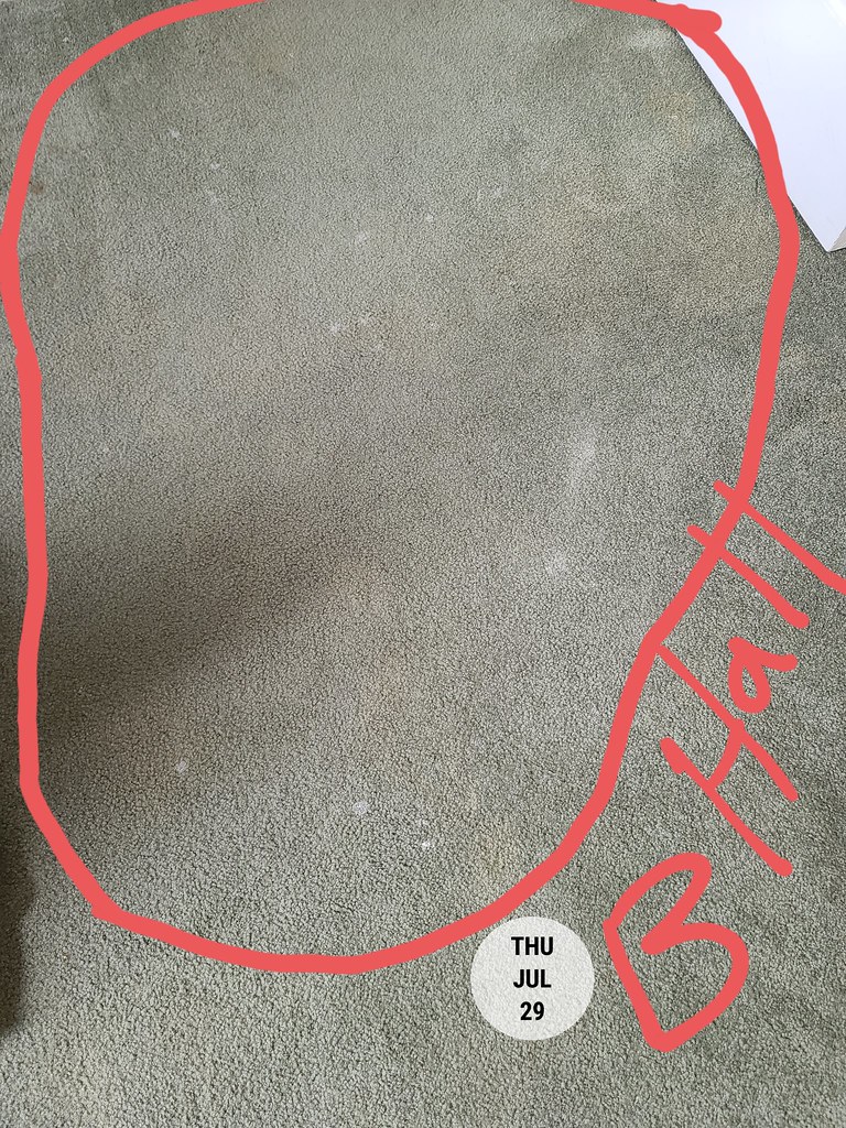 Carpet ruined by Bill Belcher Betty swick Flickr