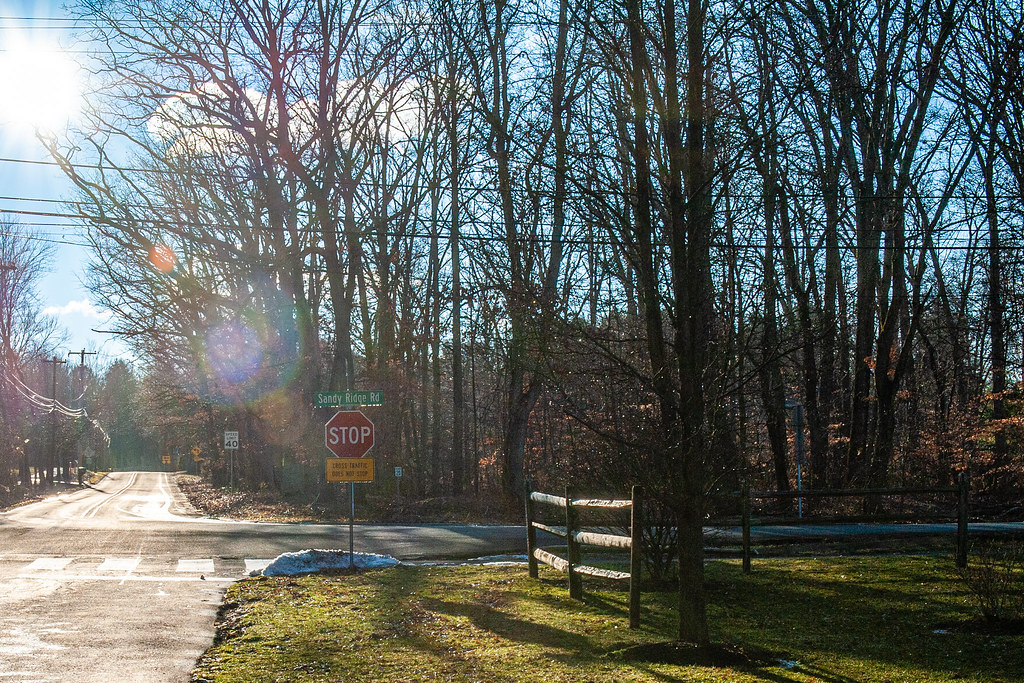 Doylestown Winter Morning on Sandy Ridge Road Kendall Whitehouse