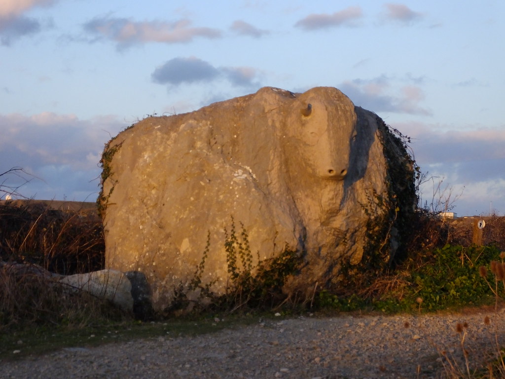 a bison/sheep?... Tout Quarry sculpture park www.visitdor… Flickr