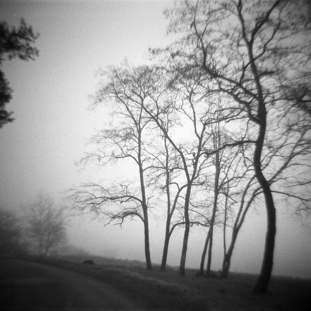 Diana Ilford HP5+ fomadon R09 _Martin_P_ Flickr