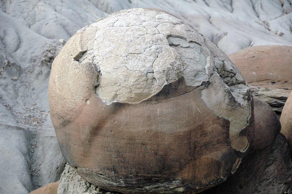 Cannonball concretion (Sentinel Butte Formation, Upper Paleocene