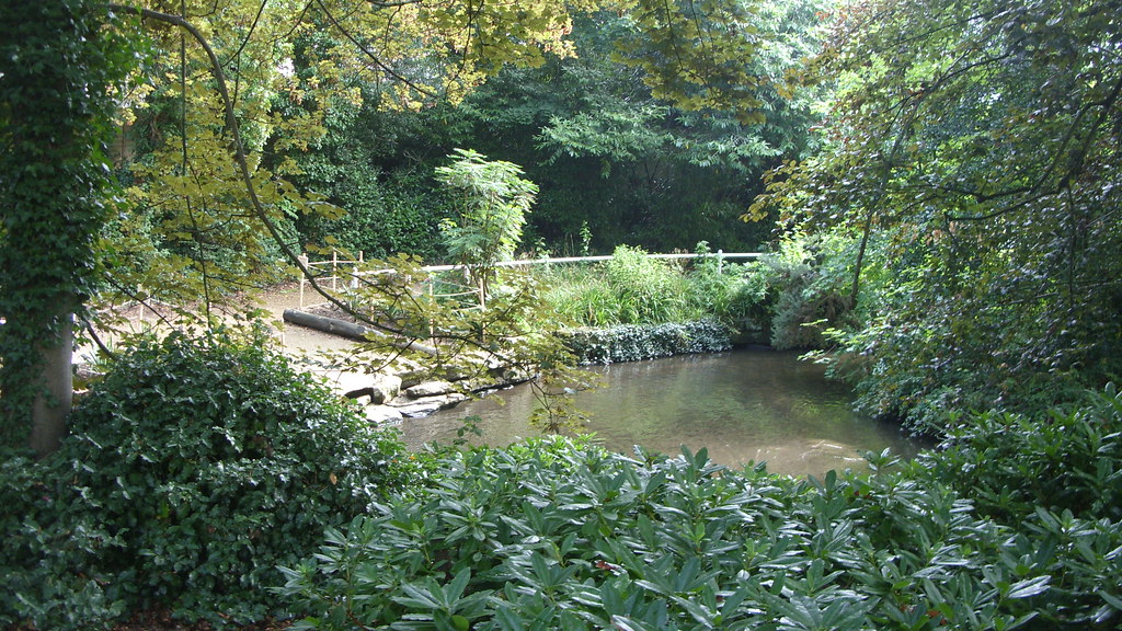 Coy Pond, Bournemouth Bournemouth Andy Flickr