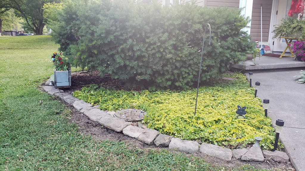 landscaping_20200718_200919_2 at home in Sedalia, Missouri… Flickr