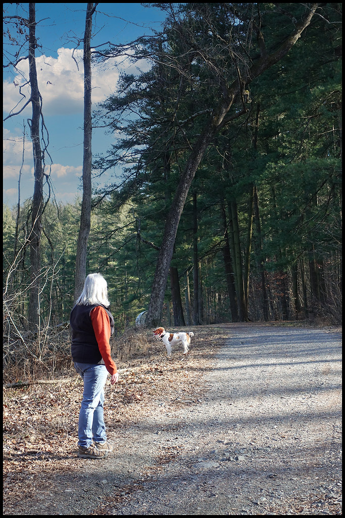 21122 Nancy and Bliss on the trail Greg Hartman Flickr