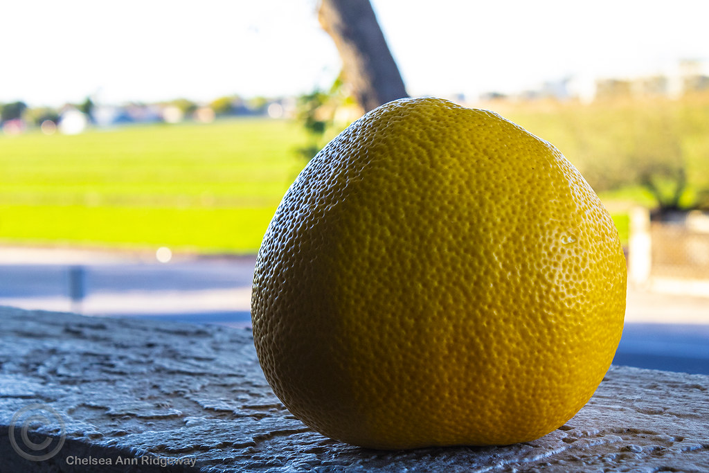 Chelsea_Short3 Chelsea Ridgeway Flickr