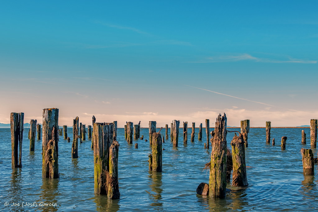 Brunswick Point Built 1893 and operated until 1930 these p… Flickr