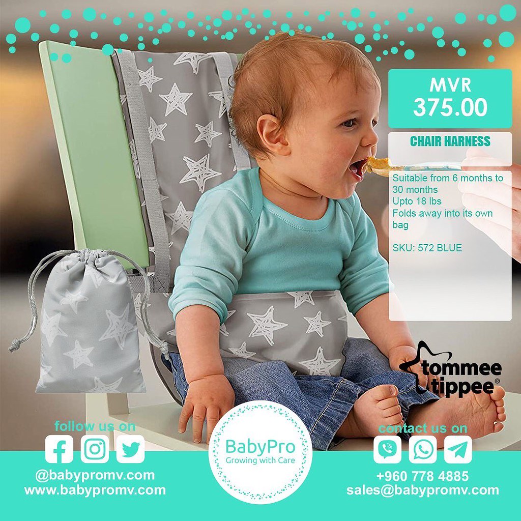 Tommee Tippee Chair Harness Ideal for encouraging wriggly … Flickr