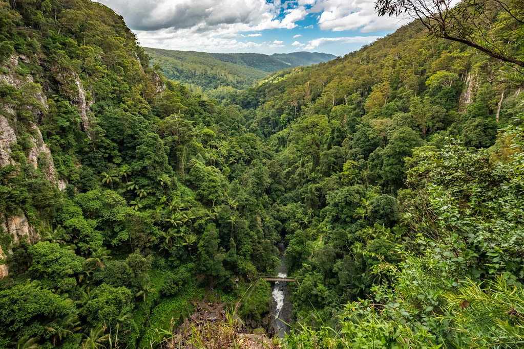 Springbrook Green After Purling Brook tumbles 106m off the… Flickr