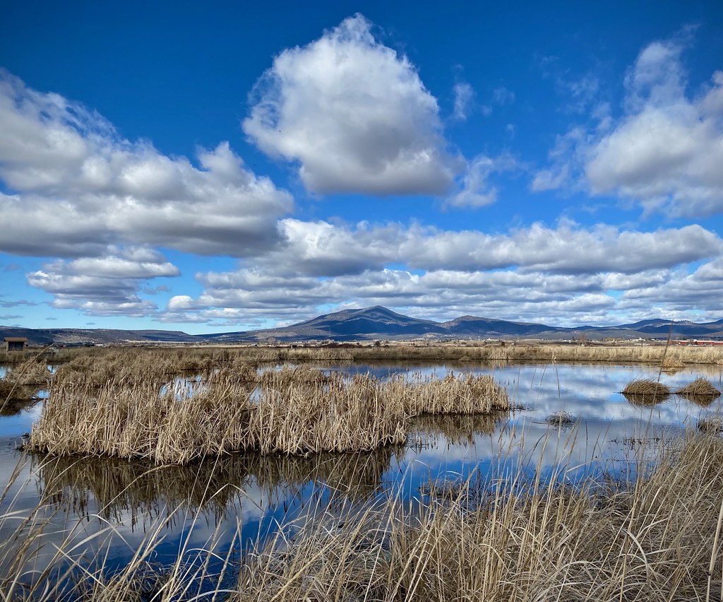 Crooked River Wetlands Prineville, OR Joan Amero Flickr