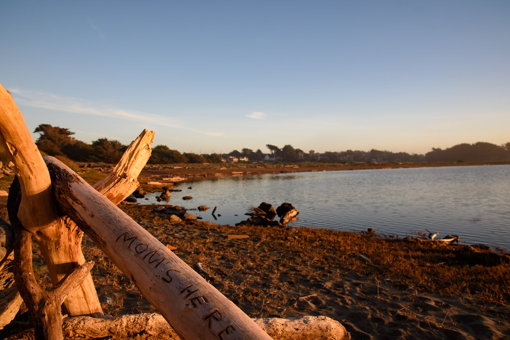 20220217D75_1304 Another evening at Salmon Creek beach fredy Flickr