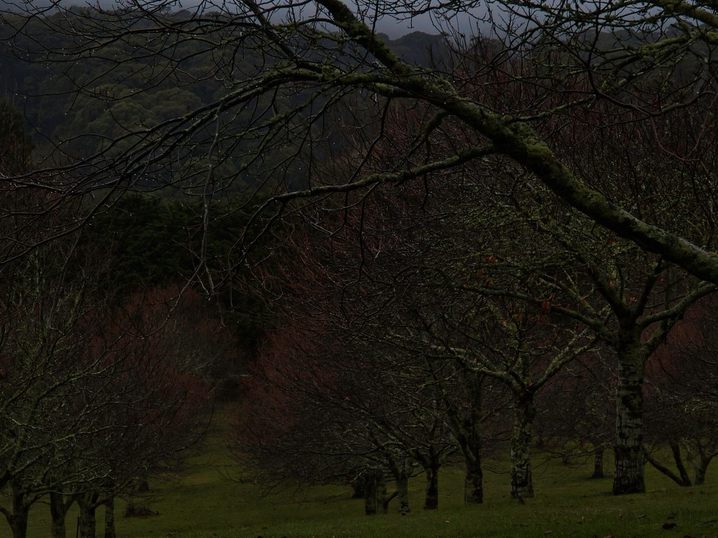 Straws Lane Macedon OLYMPUS DIGITAL CAMERA Dave Fulton Flickr