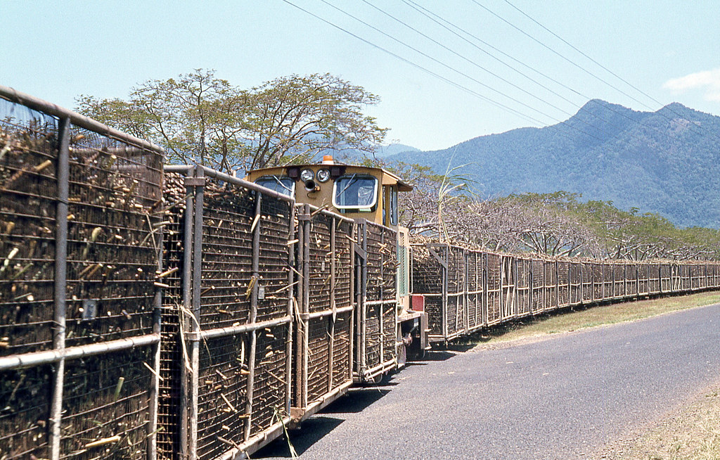 Hambleton Mill Loco on Cane, Edmonton, Qld. UF823. Hamble… Flickr