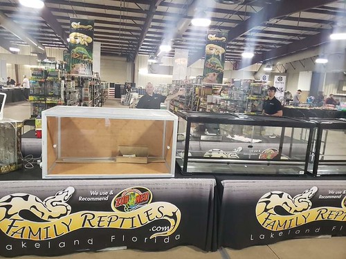 Repticon Orlando Show 2023, December 1 Orlando |
