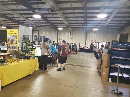 Repticon Orlando Show 2023, December 1 Orlando |