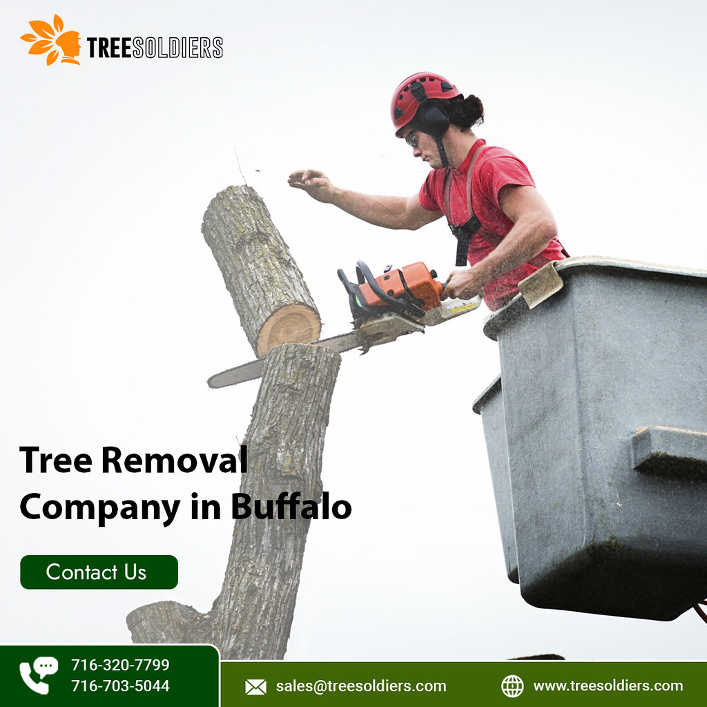 Tree Removal Company in Buffalo When you look for the best… Flickr