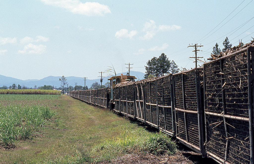 Hambleton Mill Loco on Cane, Edmonton, Qld. UF823. Hamble… Flickr