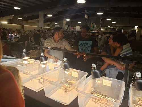 Repticon Orlando Show 2023, December 1 Orlando |