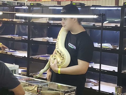 Repticon Orlando Show 2023, December 1 Orlando |