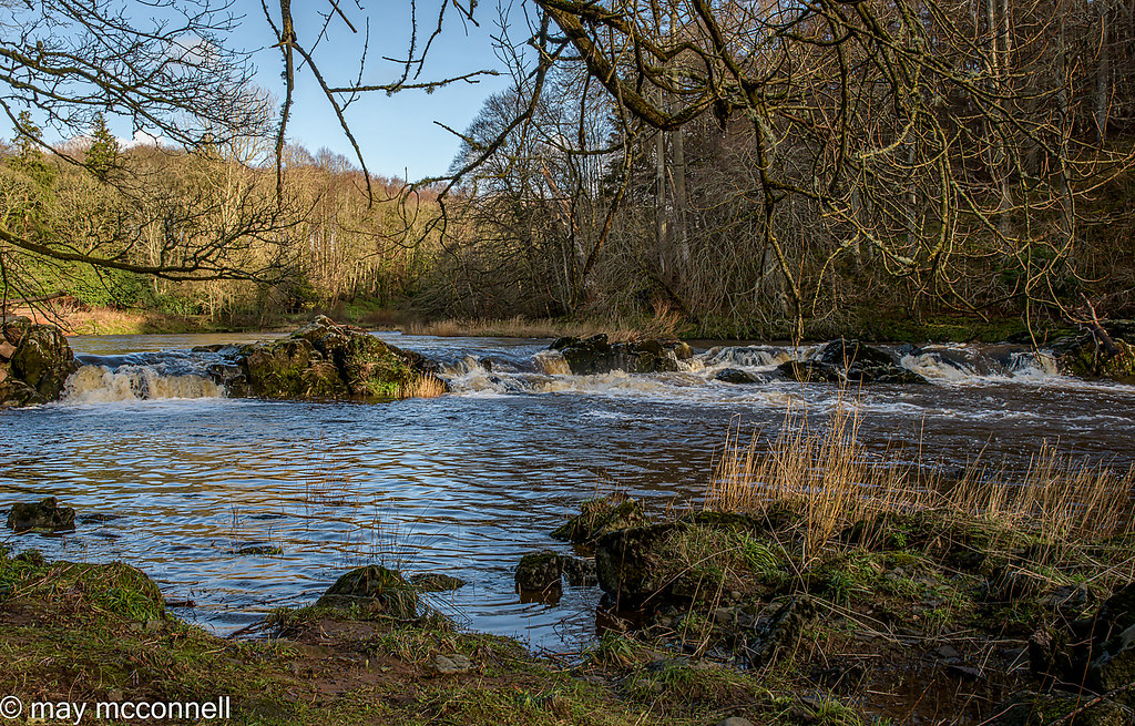 River Ayr at Auchincruive 19 Feb 2022 May McConnell Flickr