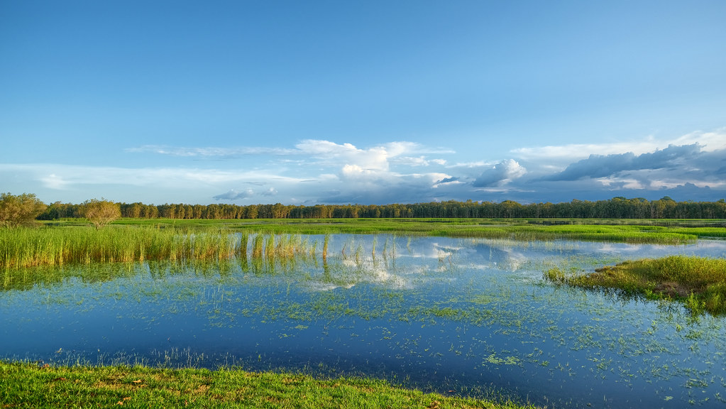 McMinns Lagoon Reserve, Darwin Rural Area, Northern Territ… Flickr