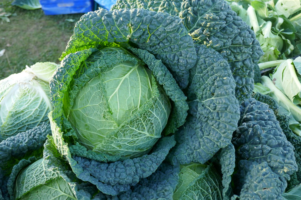 Cabbages for sale cabbage Mark Richardson Flickr