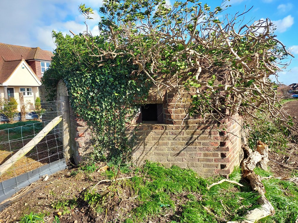 Type 22 Pillbox, Castle Road, Hadleigh (1) TQ 80858 86638 Richard