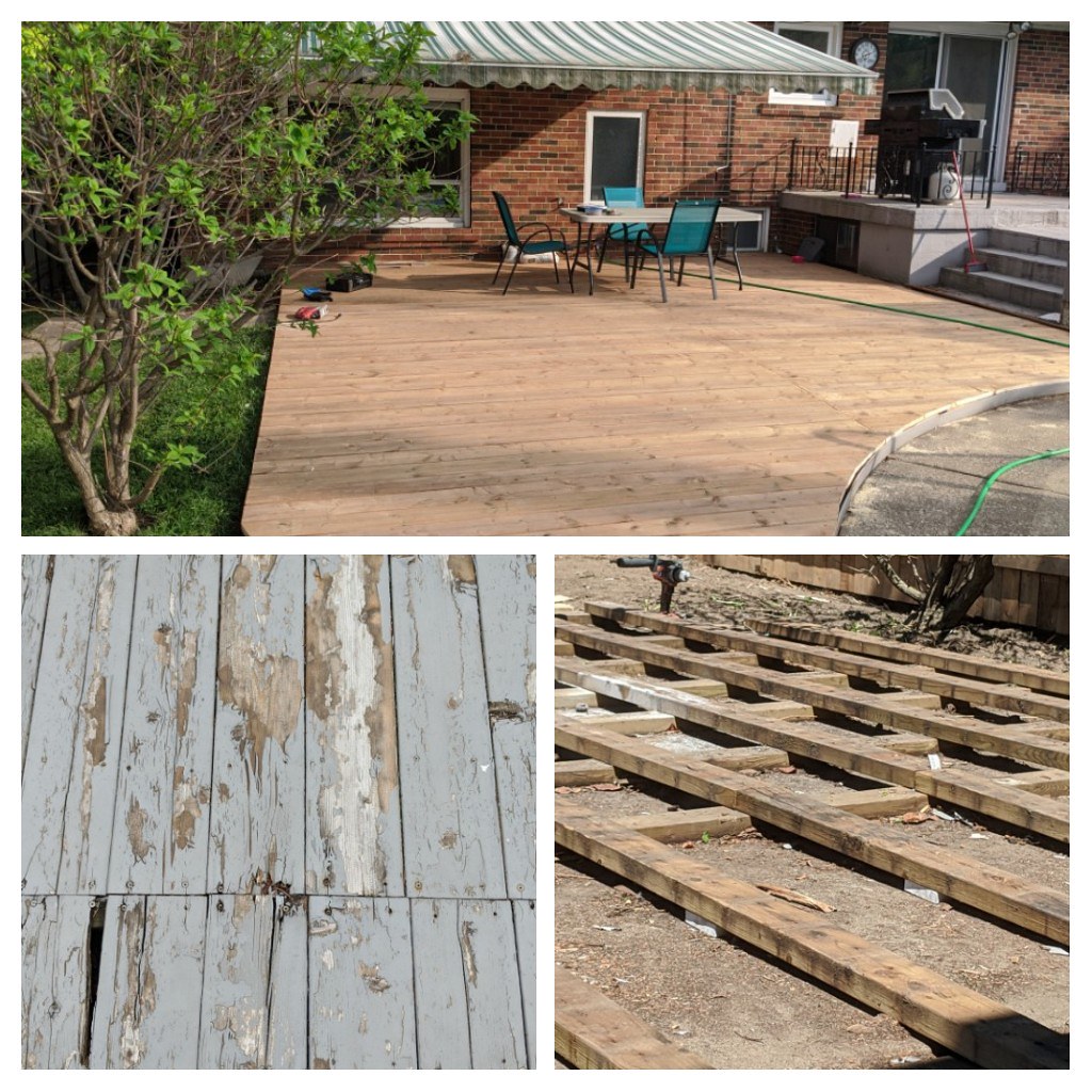 Sample gallery Jeff Sole Flickr