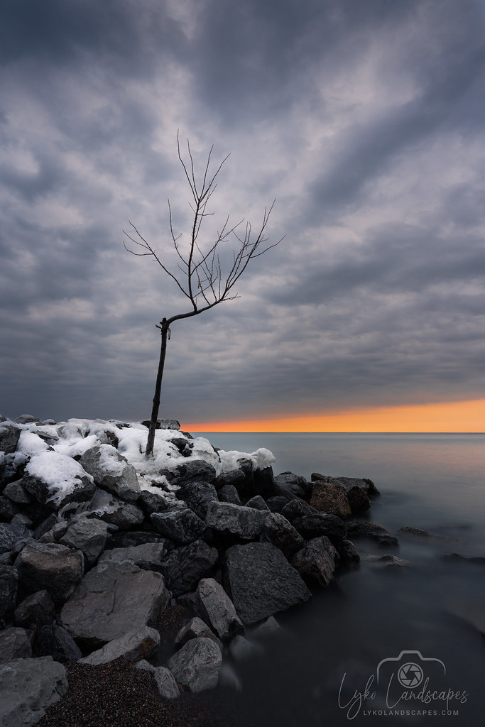 Woodbine Beach Lone Tree palyko Flickr