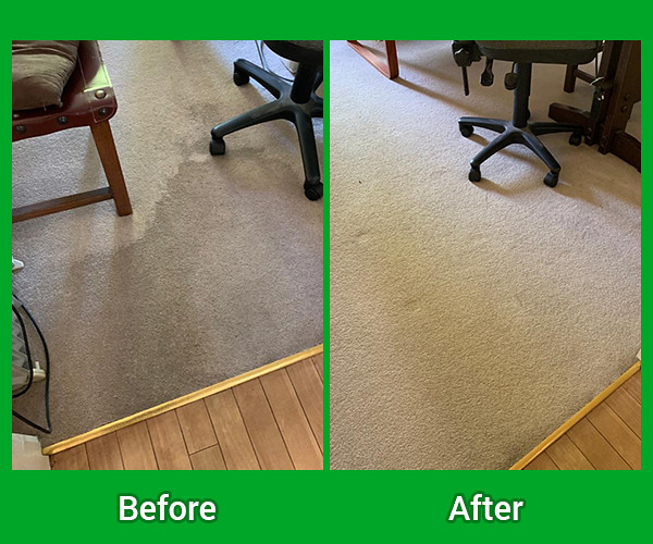 Carpet Repair Sydney Hire for efficient Carpet Repair serv… Flickr