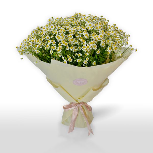 Daisy Flowers Dubai Flowers is an online flowers delivery … Flickr
