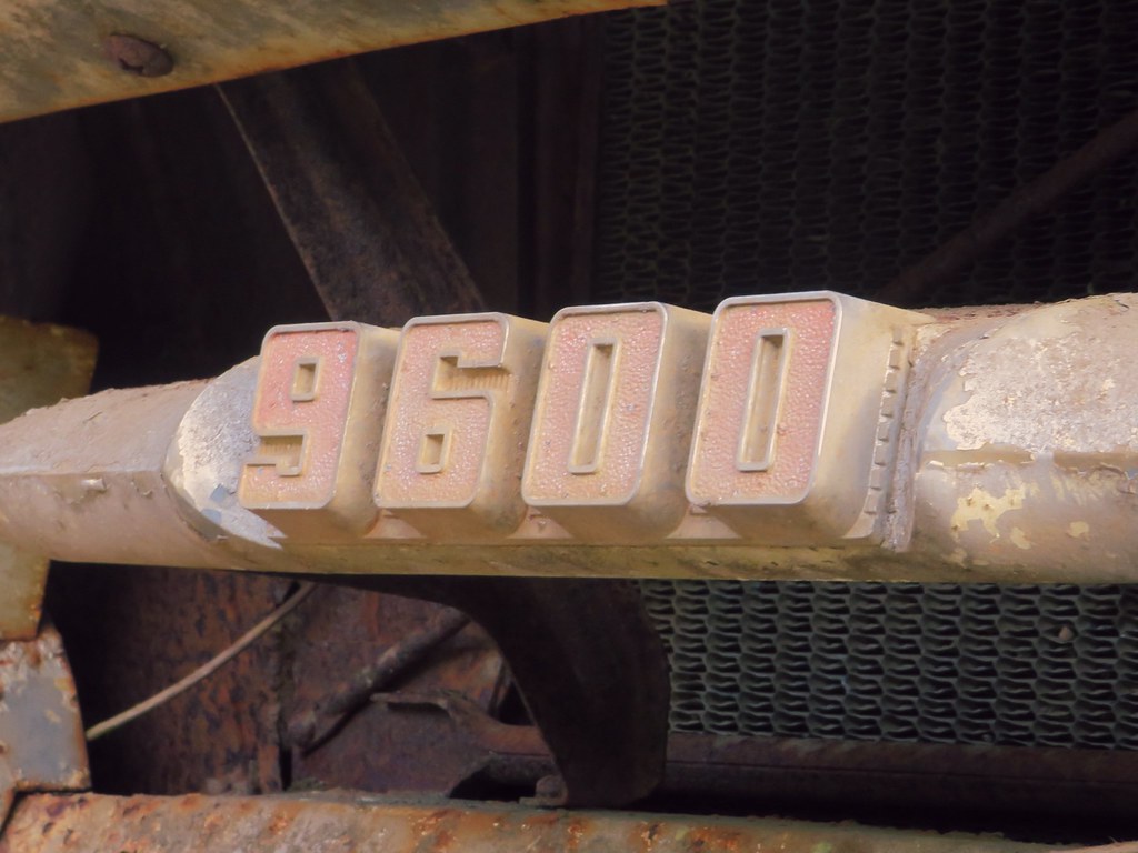 Natalie Holme Flickr