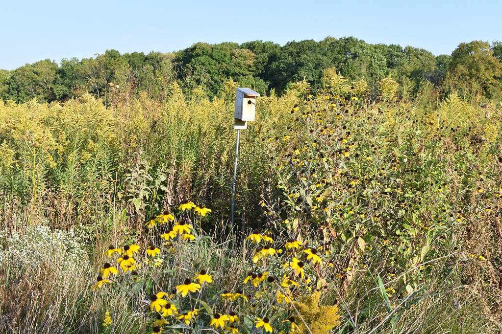 Blue Mounds Wildlife Area Photo credit Samantha Haas. Flickr
