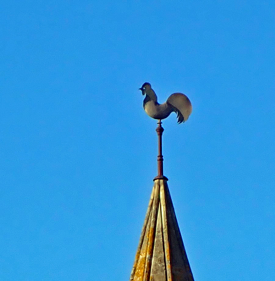 trowbridge P2240339 (cem Gerald Flickr